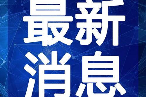 魔都最新爆料新闻视频,揭秘都市热点事件背后的真相