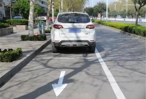 重庆停车爆料视频大全最新