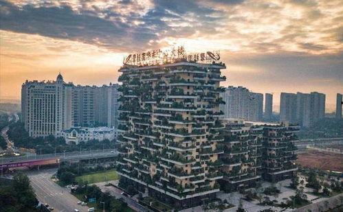 碧桂园房地产最新爆料新闻,揭秘豪宅项目背后的秘密与挑战