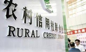 湖北农信社最新爆料,揭秘金融创新与风险防控新举措